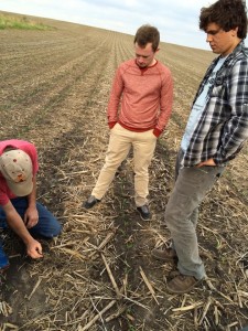 Glen showing us his no-till field. (Note the progress of the corn only two weeks after planting)