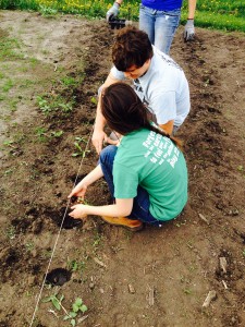 Planting flowers!