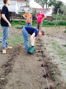 Stuart Watering Dalona's new plants