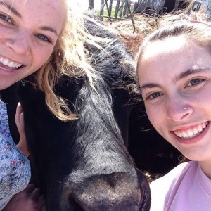 Cow Selfie!