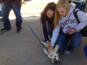 Rachel and Hedley found a puppy!