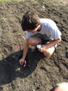 planting2