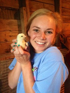 Baby chick!